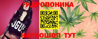 ешки Будённовск