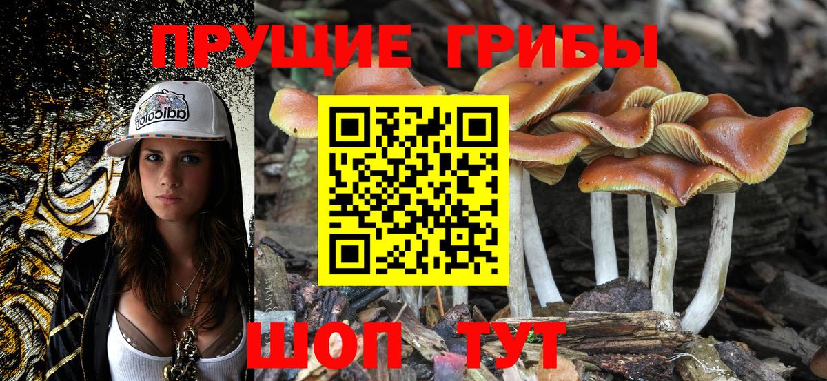Псилоцибиновые грибы ЛСД  Вход с VPN  Рязань 